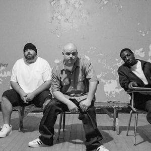 Meet your Posher, Stevie